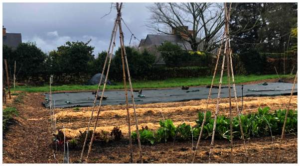 montcalm_ferme_urbaine_bio_vannes