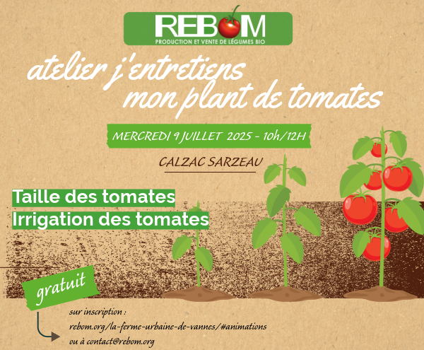 Atelier j'entretiens mon plan de tomates