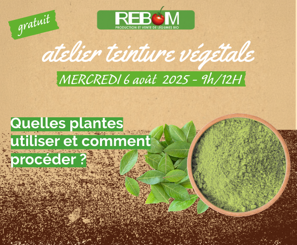 atelier teinture végétale