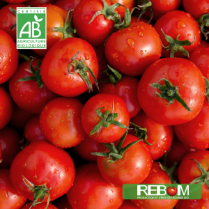 tomates rebom bio