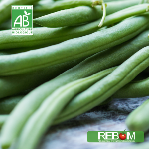 500gr haricots verts