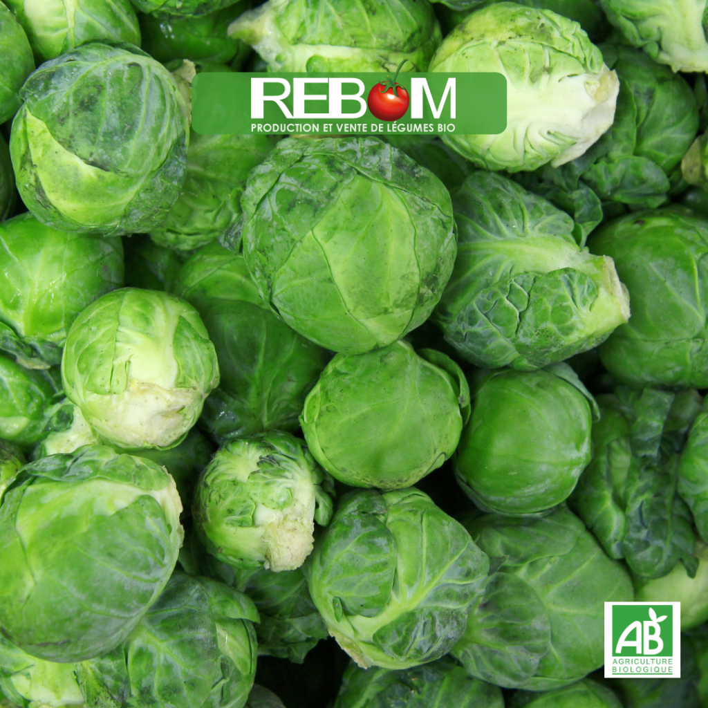 choux de bruxelles