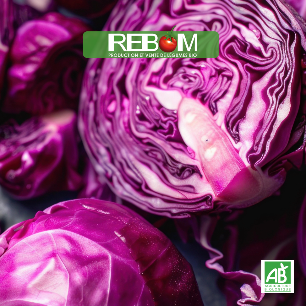 chou rouge